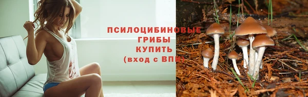 стафф Горно-Алтайск