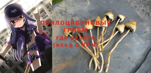 COCAINE Горнозаводск