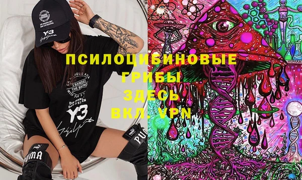 стафф Горно-Алтайск